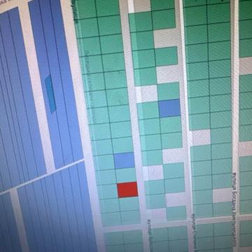 Ярослава Мудрого