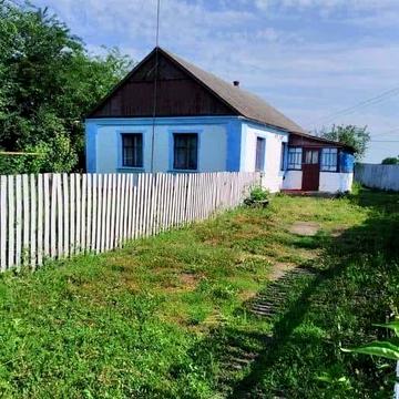 Продам будинок в селі Короченки 50 км від Житомира.