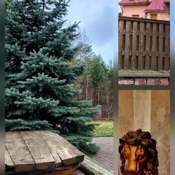 Кремінського пров.