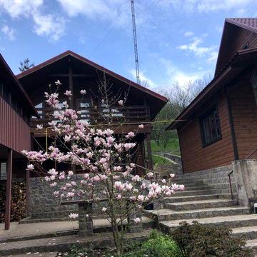 Здам будинок в оренду