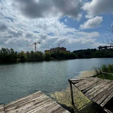 Берегове, Берегівський, Закарпатська область 120000.0 USD