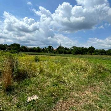 Берегове, Берегівський, Закарпатська область 40000.0 USD