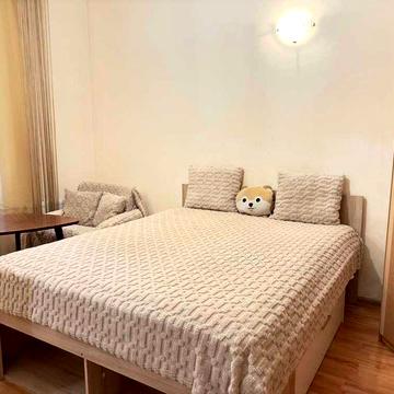 Здається в оренду 1-к квартира на вул. Єфремова, Ближній Центр