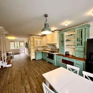 Аренда Таунхауса с.Шпитьки Киевская область, Генератор автономный дом