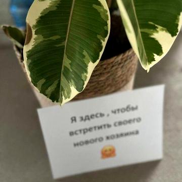 Продаж 1к Квартира Велика Арнаутська вулиця ЖК Башня Chkalov