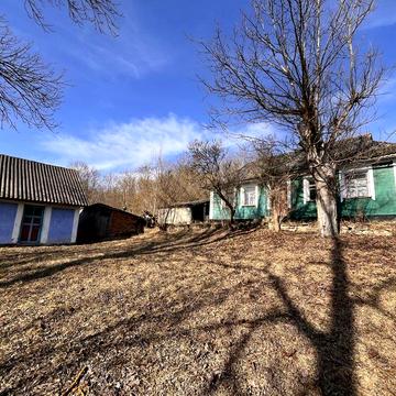 Еко садиба на Поділлі. Дача в оренду біля лісу.