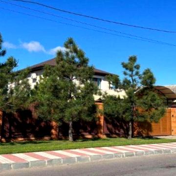 Чудовий будинок та будиночок з бассейном 5 хвилин до Центру