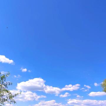 Київська, 55