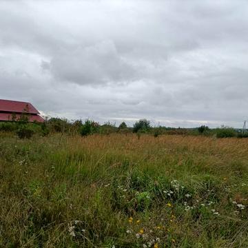 Роксолани, 33