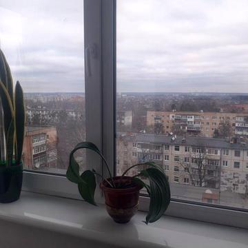 2 кімната квартира