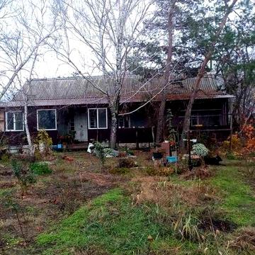 Продам дім в с. Піщанка