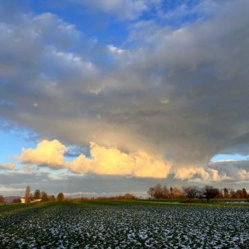 Ставище, Житомирський, Житомирська область 3560000.0 USD