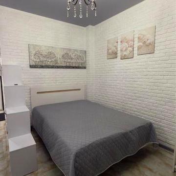 Аренда 1к квартиры в центре, Конисского, Володарского, Артема