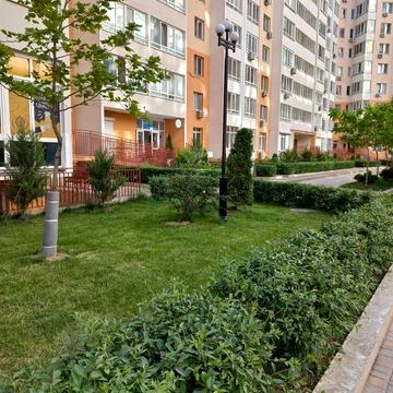 Масив Райдужний, 23