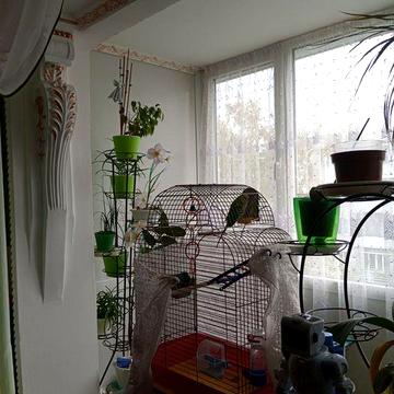 Продам двокімнатну квартиру бЕЗ МЕБЛІВ