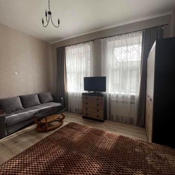 Святослава Караванського вул. (Жуковського), 17