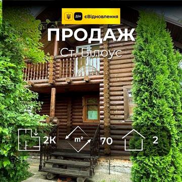 Два житлові будинки з великою ділянкою, с. Старий Білоус, MZ