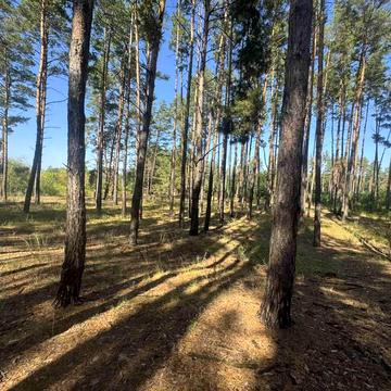 Гідності вул. (Жертв Революції), 65