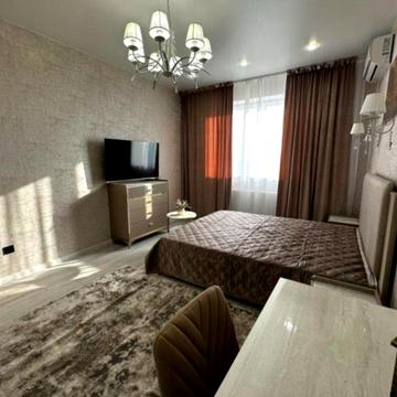 1 комнатную квартиру в Центре