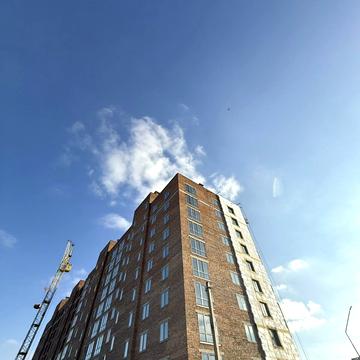 Тараса Боровця вул., 10