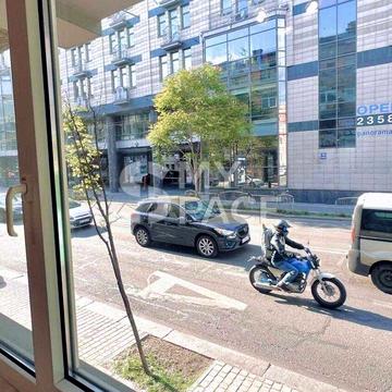 вул. Стрілецька,2/17 (Гончара, Володимирська, Софіївська площа, Центр)