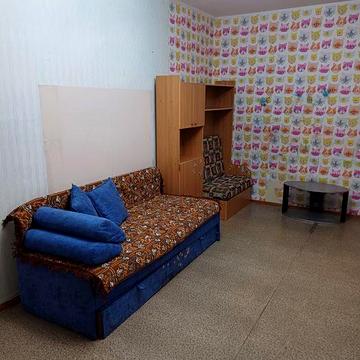 Здам 1к квартиру 46м2 Вишневе вул.Південна 11.Можна з твариною