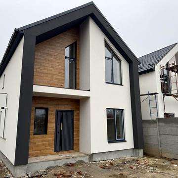 Павла Тичини