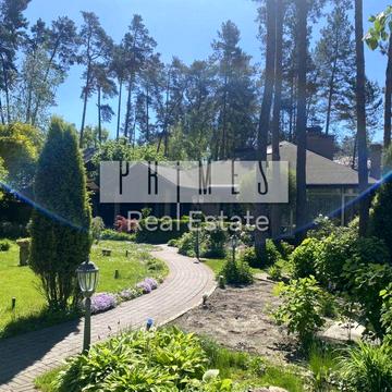 Плютовська вул.