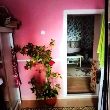 Продам будинок 5 км від міста Чоп