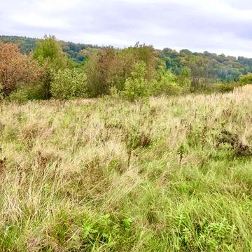 Рокитне, Яворівський, Львівська область 70000.0 EUR