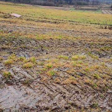 Вінницьке шосе