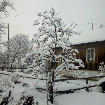 Продається невеликий будиночок,Львівська обл.Сколівський р-н