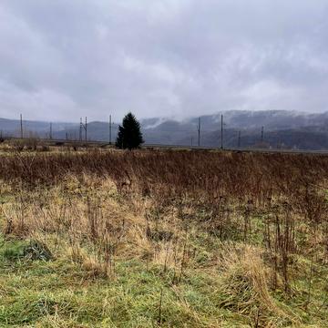 Лесі Українки вул.