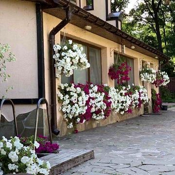 Довгострокова оренда 3к Дім вулиця Лісна