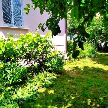 Будинок вашої мрії. Продати будинок в селі, житло, продать дом в селе.