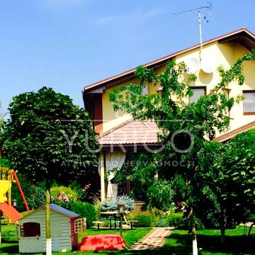 Абрикосова