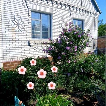 ВІД ХАЗЯЇНА!!! ОБМІНЯЮ на квартиру будинок цегляний новий