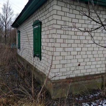 Продаж будинку + 0,25га в селі Дрімайлівка