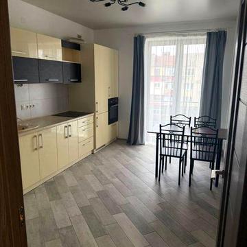 Здається в оренду квартира 1,5 кім Дастор