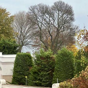 Продам участок 18 соток с домом в кооперативе на 9 ст.Б.Фонтана. Море.