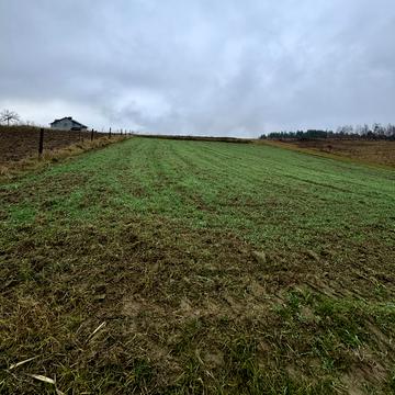 Десі Українки