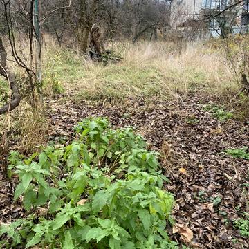 Висока вул., 23