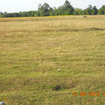 Гоголів, Броварський, Київська область 5500.0 USD