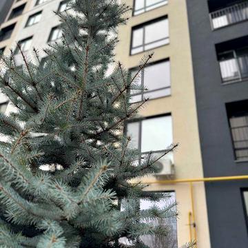 Квартира з новим ремонтом в Бучі! Ніхто не проживав! Без комісії!