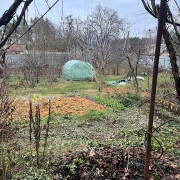 Процев фасад дамба