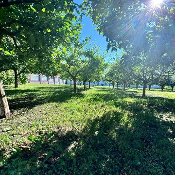 Прикордонників вул., 19