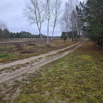 Мельники, Ковельський, Волинська область 40000.0 USD