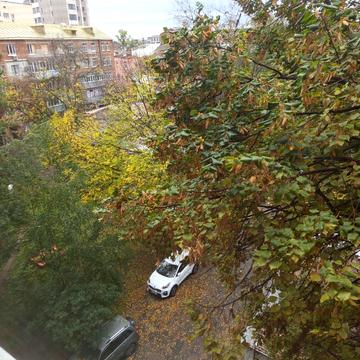 Миколи Хвильового вул. (Маяковського), 7/79