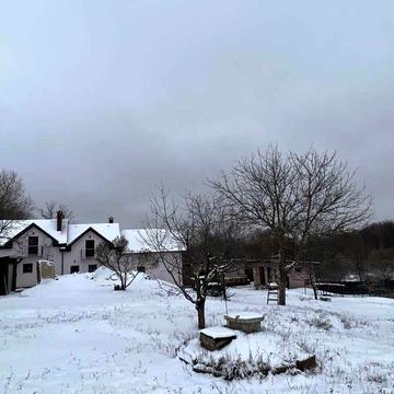 Продаж будинку. 95 м2. 25 соток.  Ремонт Сауна. Зорівка  №15512