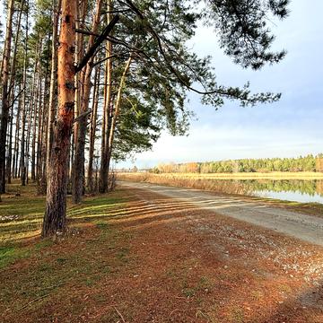 Нове Залісся, Бучанський, Київська область 55000.0 USD